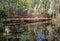 Swinging bridge water reflections.