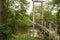 A Swinging Footbridge over a Craig Creek