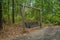 Swinging park bench in the woods