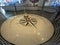 Swinging Pendulum at California Academy of Sciences California