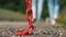 swinging red metal chain. close-up. Chain links. a red chain hangs over the asphalt on the road. in the background are