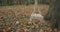 Swinging swing on empty public park in autumn. Leafs in playground on the floor. slow motion