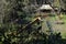 Swings and slides in abandoned overgrown playground