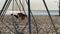 swings swinging at a beach side kids park with beach sand