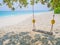 Swings at tree on the tropical beach