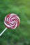 Swirl Colorful Lollipop Isolated over Green blured Garden Copy Paste