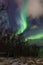 Swirling aurora borealis over birch-tree forest
