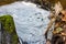 Swirling foam on the water surface of a forest stream with stumps on the shore