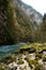 Swirling mountain river flows among rocks covered with green moss and trees