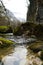 Swirling mountain river flows among rocks covered with green moss and trees