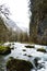 Swirling mountain river flows among rocks covered with green moss and trees