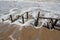 Swirling Ocean`s Foam Creating Designs on the Beach