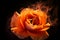 Swirling orange smoke roses on black background from generative ai
