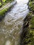 Swirls and streams of turbid water