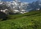 Swiss alpine hills