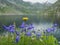 Swiss Alpine lake with flowering Campanulas landscape