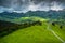 Swiss Alpine meadow aerial view