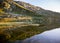 Swiss Alps mountain lake Grimsel with cottongrass eriophorum
