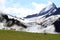 Swiss Alps: the Upper Grindelwald Glacier and cows