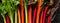 Swiss chard in different colors, multi colored  stems on a black background