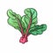 Swiss chard hand-drawn illustration. Swiss chard. Vector doodle style cartoon illustration