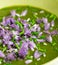 Swiss Chard and Potato Cream Soup Chopped Chives with Flowers