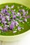 Swiss Chard and Potato Cream Soup Chopped Chives with Flowers