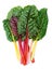 Swiss chard Rainbow