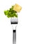 Swiss emmental cheese and lettuce sticked on fork