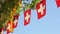 Swiss flag