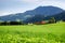 Swiss green grass field and mountains