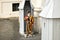 Swiss guard in traditional uniform on duty at a sentry box at a vatican gate