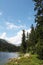 Swiss lake in the spruce forest with fir-tree, Alps.