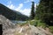 Swiss lake in the spruce forest with fir-tree, Alps.