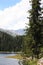 Swiss lake in the spruce forest with fir-tree, Alps.