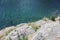 Swiss lake in the spruce forest with fir-tree, Alps.