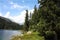 Swiss lake in the spruce forest with fir-tree, Alps.