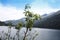 Swiss lake in the spruce forest with fir-tree, Alps.