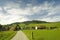 Swiss pasture in the summer