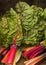 Swiss Rainbow Chard