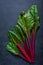 Swiss rainbow chard, vibrant vegetable