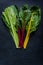 Swiss rainbow chard, vibrant vegetable