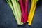 Swiss rainbow chard, vibrant vegetable