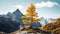 Swiss Realism: Larch Tree Portrait In Autumn Mountain Landscape