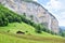 Swiss rural farm in Lauterbrunnen