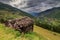 Swiss summer alps meadow with shed