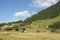 Swiss summer mountain landscape