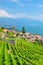 Swiss village Saint Saphorin on the coast of Geneva Lake, Lac Leman in French. Terraced vineyards on the slopes adjacent to the