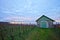 Swiss vineyard at dawn