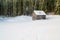 Swiss Winter - Lonely hut in forest